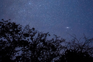 树枝 树木 剪影 星空 夜间 4k壁纸 3840x2160