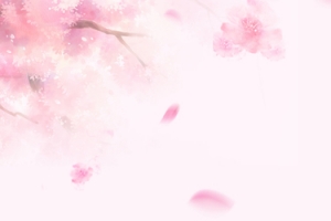 桃花节花瓣简约梦幻文艺粉banner