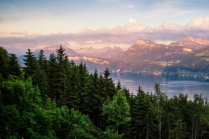 山水树林风景3440x1440壁纸