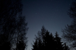 星空 星星 夜晚 树枝 仰视 4k壁纸 3840x2160