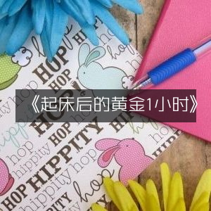 《起床后黄金1小时，个人能力提升宝典》