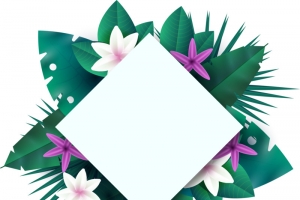 手绘夏日海报边框Png