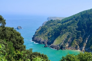 风景 岩石 大海 海洋 树木 4k壁纸 3840x2160