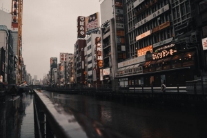 风凄雨凉 秋雨潇潇