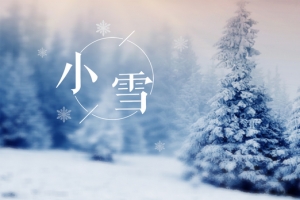 小雪二十四节气banner