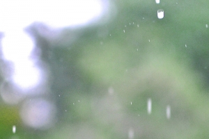 梅雨时节下雨天清新H5背景素材