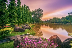 湖 花 树 风景 春天 4k壁纸 3840x2160