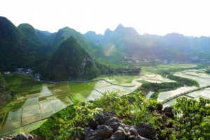 万峰林风景