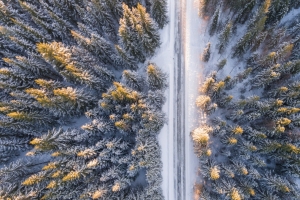 俯视森林雪景4k风景壁纸