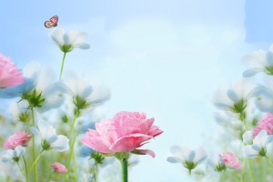 淡雅花朵固定背景