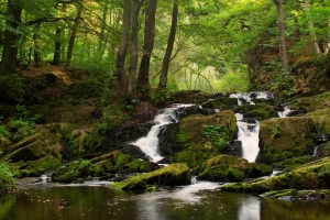 自然森林小溪瀑布风景4K高清壁纸