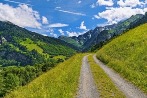 路 山 草 风景 4k壁纸 3840x2160