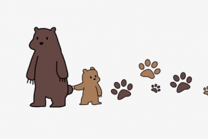 小熊分割线手绘插画