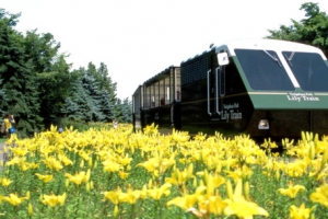 北海道札幌百合之原公园