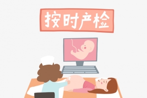 孕妇产检做b超插画