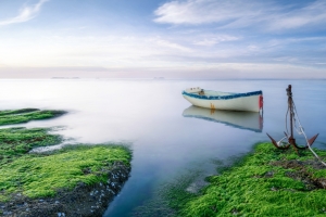 孤舟 湖岸 苔藓 一望无际4k风景壁纸