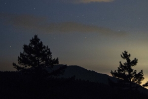 云杉 剪影 星星 星空 夜间 4k壁纸 3840x2160