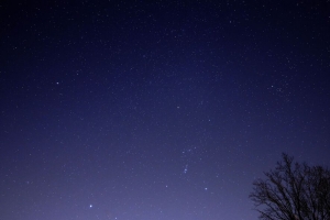 星空 树 树枝 剪影 深色 4k壁纸 3840x2160