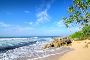 夏天 海滩 棕榈树 沙滩 大海 4K风景壁纸3840x2160