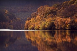 湖泊 树木 森林 倒影 景观 秋季 4k壁纸 3840x2160