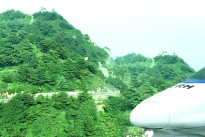 旅游网页绿色清新背景banner