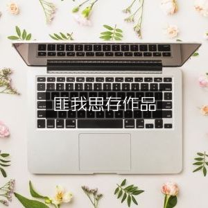 匪我思存文学作品集 | 艺术书籍精选