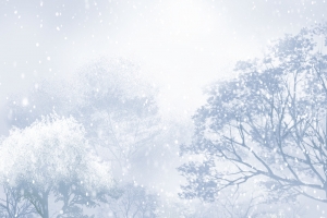 白色冬季梦幻背景