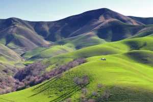 新疆杏花沟风景背景