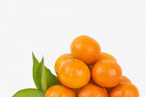 水果橘子橙子一堆橘子