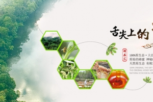 蜂蜜活动banner