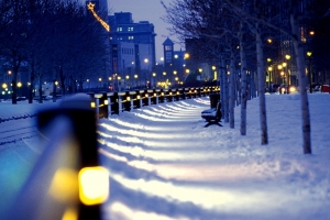 雪 冬天 街市 灯光 夜晚降临 风景图片