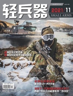 轻兵器 2021 PDF