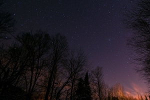 星空 树木 夜晚 星星 4k壁纸 3840x2160