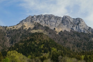 山 峰 树 森林 风景 4k壁纸 3840x2160