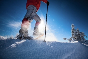 滑雪运动海报