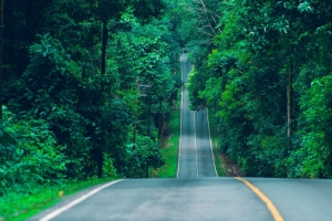 道路 标记 树木 路径 4k壁纸 3840x2160