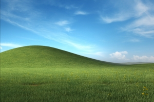 Windows XP  Bliss 官方重制版2560x1600高清壁纸