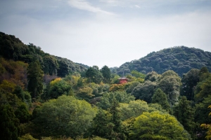 宝塔 建筑 树木 森林 天空 4k壁纸 3840x2160