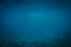 水  海 深海 海底