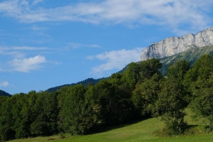 岩石 树木 斜坡 风景 4k壁纸 3840x2160