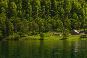 河流 森林 自然风景 3440x1440带鱼屏壁纸