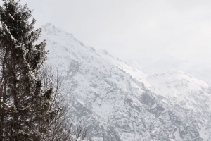 山 树 雪 斜坡 冬季 4k壁纸 3840x2160