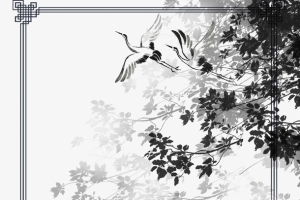 古风仙鹤线框手绘人物树枝