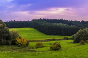 阿尔卑斯山风景 草地 山地 森林 3440x1440壁纸