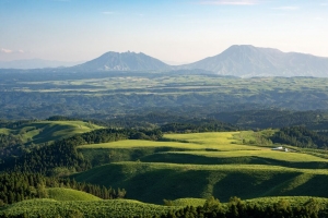 丘陵 草地 山脉 树木 风景 4k壁纸 3840x2160