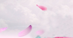 浪漫背景banner