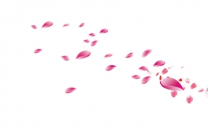 花瓣