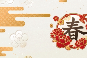 新年春节文艺小清新banner