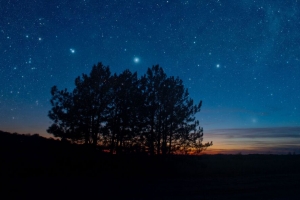 星空 夜晚 树木 星星 风景 4k壁纸 3840x2160