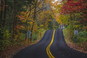 道路 标记 森林 树木 秋天 风景 4k壁纸 3840x2160